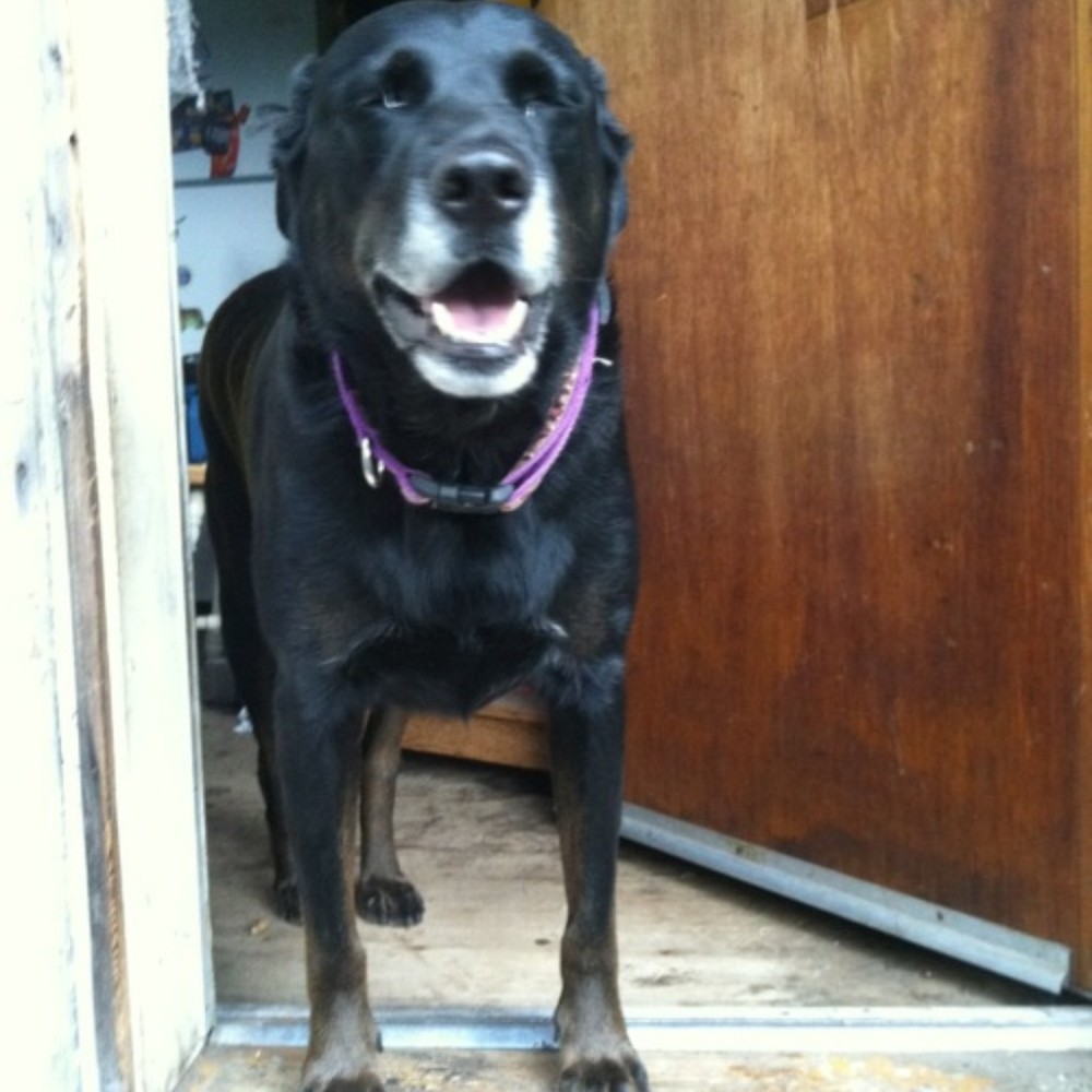 Meet your Posher, Tiffany